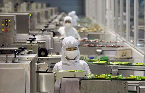 食品厂供应蒸汽的锅炉选择与燃气蒸汽锅炉厂家推荐